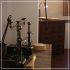 Acacia apartment Florence