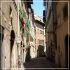 apt bargello  firenze 