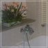 Pitti bathroom